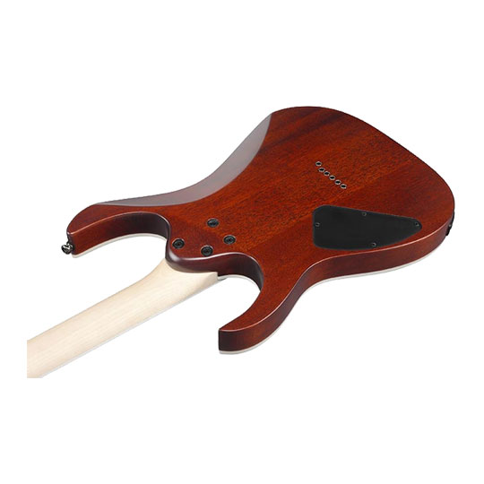Ibanez - RG421S-SEM - Sea Shore Matte : image 3
