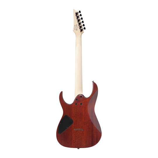 Ibanez - RG421S-SEM - Sea Shore Matte : image 4
