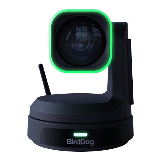 BirdDog X1 Ultra UHD PTZ Camera (Black)