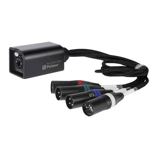 Palmer AoC Loom XLR M