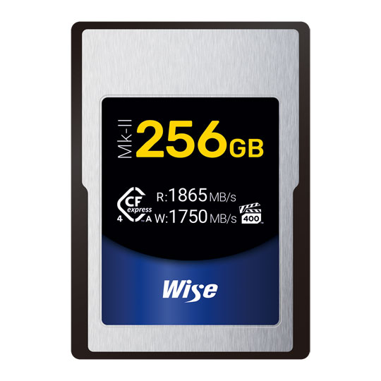 Wise CFX4-A256M2 256GB Memory Card