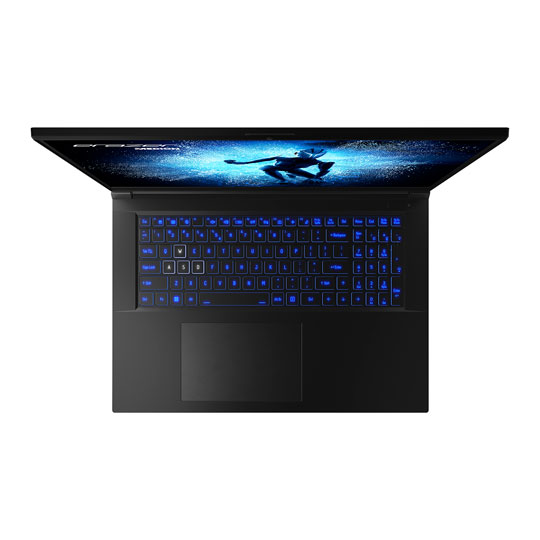 Medion Erazer Defender P50 17.3" Full HD 144Hz i7 GeForce RTX 4060 Open