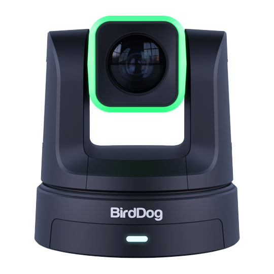 BirdDog X5 Ultra 4K60 PTZ Camera (Black)