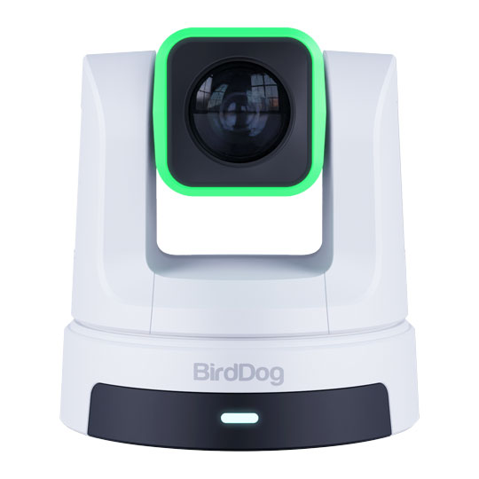 BirdDog X5 Ultra UHD PTZ Camera (White)
