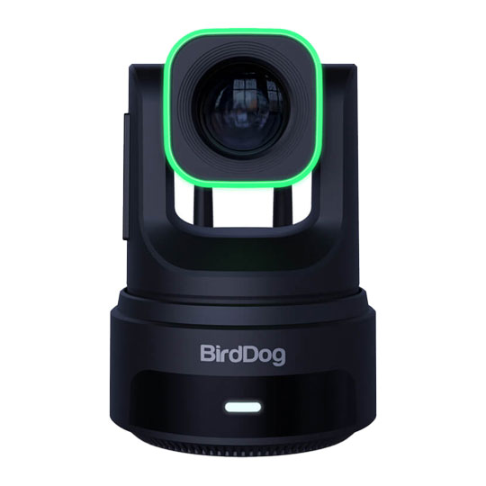 BirdDog X4 Ultra 4K60 PTZ Camera (Black)