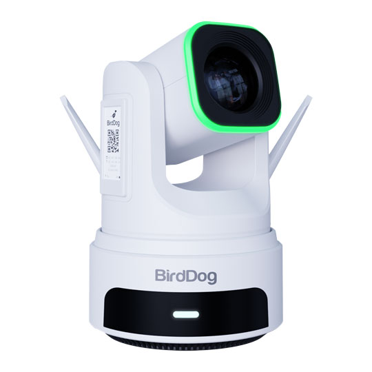 BirdDog X4 Ultra 4K60 PTZ Camera (White)