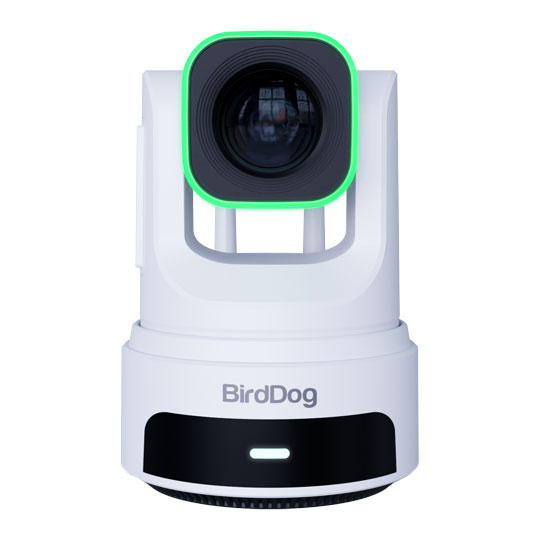 BirdDog X4 Ultra 4K60 PTZ Camera (White)