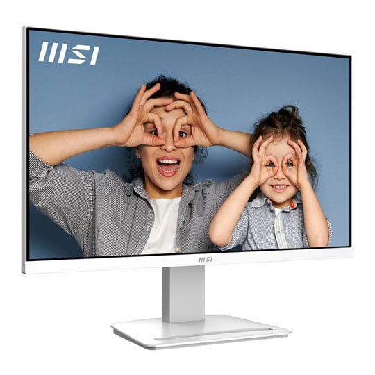 MSI PRO 24" Full HD 100Hz VA Business & Productivity Class Monitor