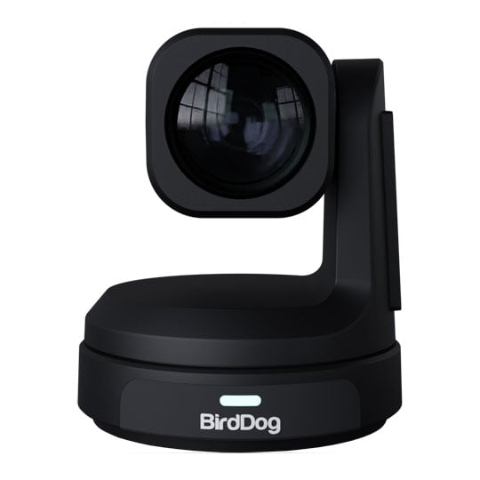 BirdDog Max UHD PTZ Camera (Black)