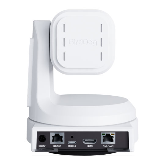 BirdDog Max UHD PTZ Camera (White) : image 3