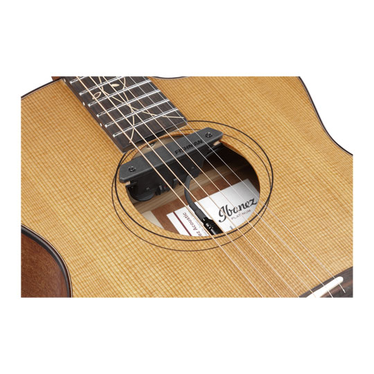 Ibanez Jon Gomm Signature JGM11 Acoustic-Electric Guitar : image 2