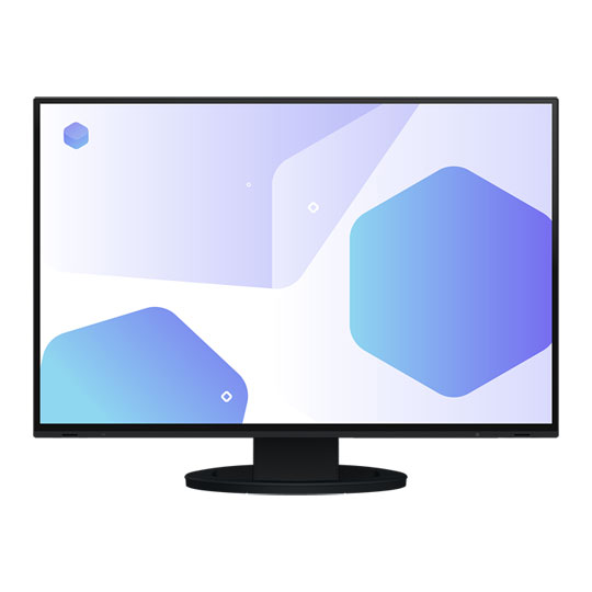 EIZO FlexScan EV2485-BK 24" Monitor : image 1