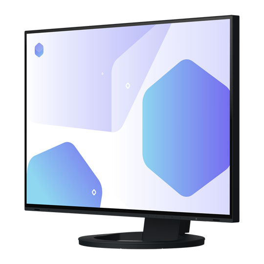 EIZO FlexScan EV2485-BK 24" Monitor : image 2