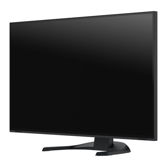 EIZO FlexScan 31.5" Monitor : image 2