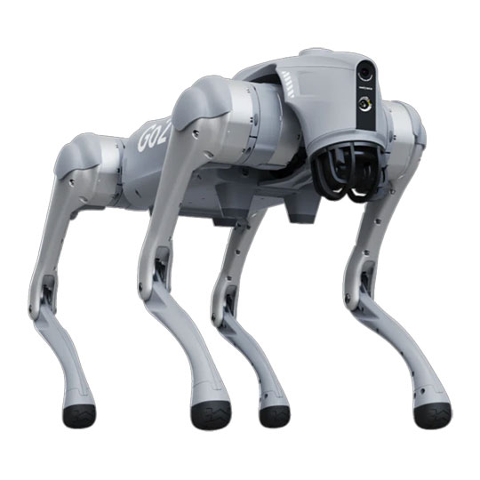 Go2 Pro Intelligent Bionic Quadruped Robot