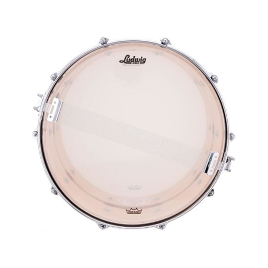 Ludwig L903XX0N 14x8" Slotted Coliseum Snare Drum : image 4