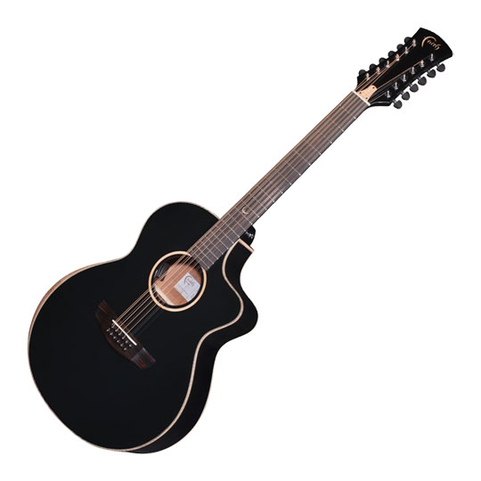 Faith Eclipse Neptune - Cutaway Electro - 12 String with Hardcase (Black)