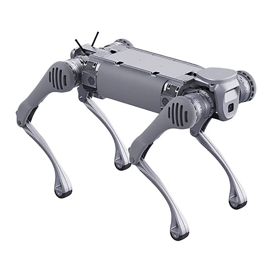 Unitree B2 Standard Intelligent Bionic Quadruped Robot : image 3