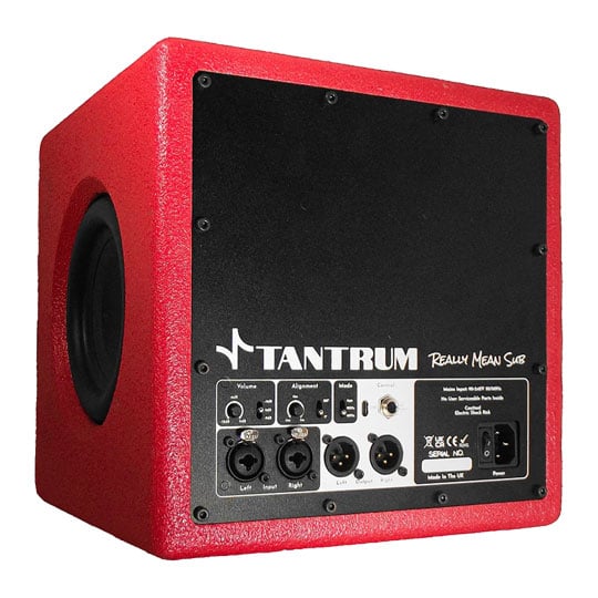 Tantrum Audio Really Mean Sub : image 3