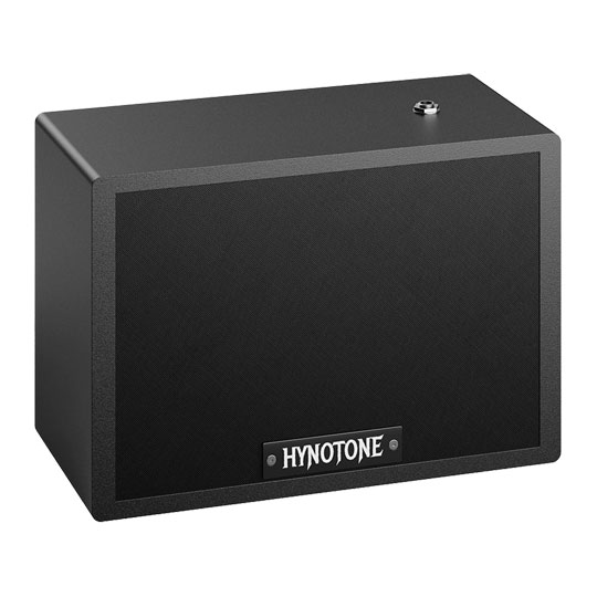 Hynotone CAB105 5" Passive Guitar Cabinet
