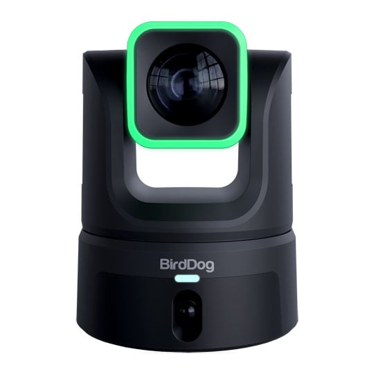 BirdDog XL Ultra Cinematic PTZ Camera (Black)