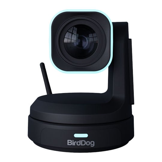BirdDog X1 30x HD PTZ Camera (Black)