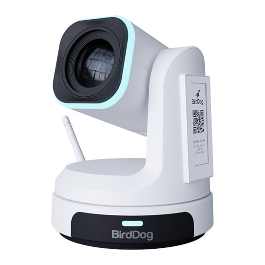 BirdDog X1 30x HD PTZ Camera (White)