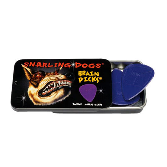 Snarling Dogs 351 Brain Picks - PURPLE .60mm - 12PC Tin