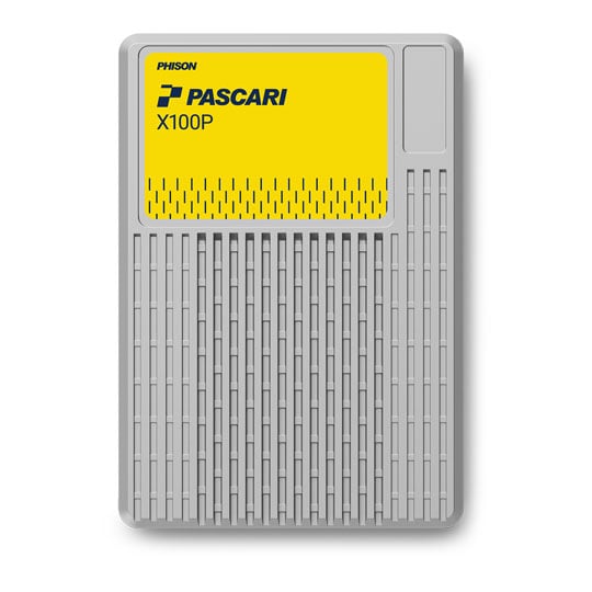 Phison Pascari 3.84TB XP106H013T84P0 X100P U.2 Enterprise NVMe SSD