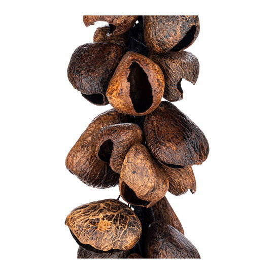 Meinl Percussion Pangi Waterfall Shaker, 40 Seeds Meinl Percussion Pangi Waterfall Shaker, 40 Seeds