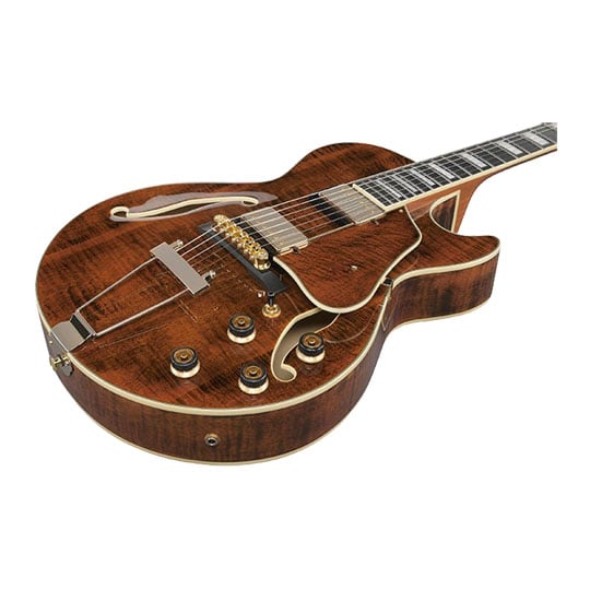 Ibanez AG95MG-DA Hollowbody Electric Guitar