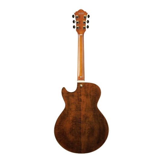 Ibanez AG95MG-DA Hollowbody Electric Guitar : image 4