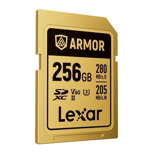 Lexar Armor Gold Stainless Steel SDXC Card 256GB Lexar Armor Gold Stainless Steel SDXC Card 256GB