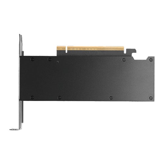 PNY NVIDIA RTX PRO 2000 16GB GDDR7 Blackwell Ray Tracing Workstation Graphics Card (Retail) : image 4