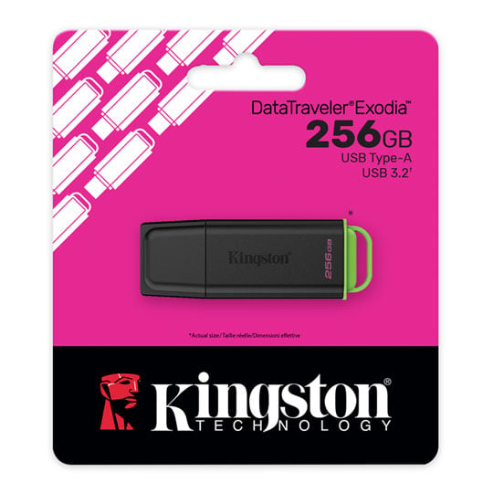 Kingston DataTraveler Exodia 256GB USB 3.2 Gen 1 Flash Drive : image 1