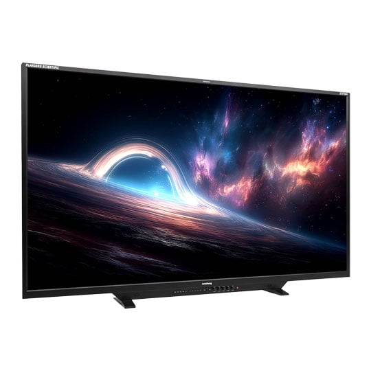 Flanders Scientific XMP651 Mastering Monitor : image 1