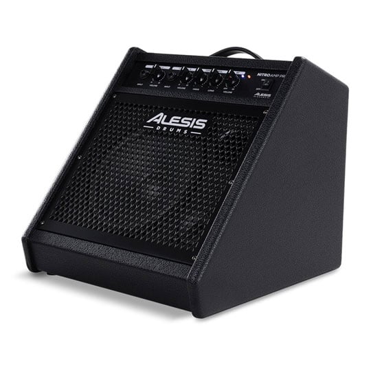 Alesis Nitro Amp Pro Floor Monitor : image 1
