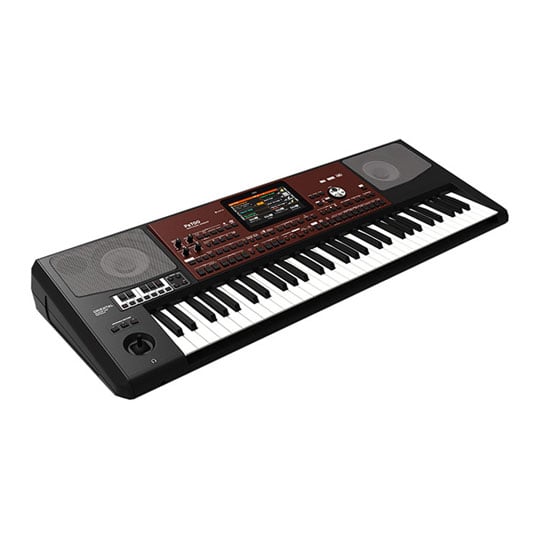 Korg Pa700 Oriental Professional Arranger Keyboard (61 Keys) : image 1