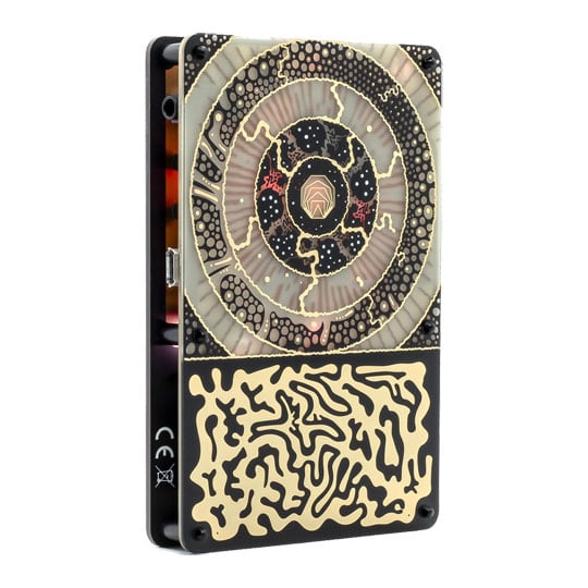 Instruo Pocket Scion Biofeedback Instrument : image 3