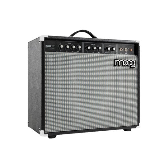 Moog Model 112 Instrument Amp : image 1