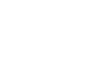 Thunderbolt Icon