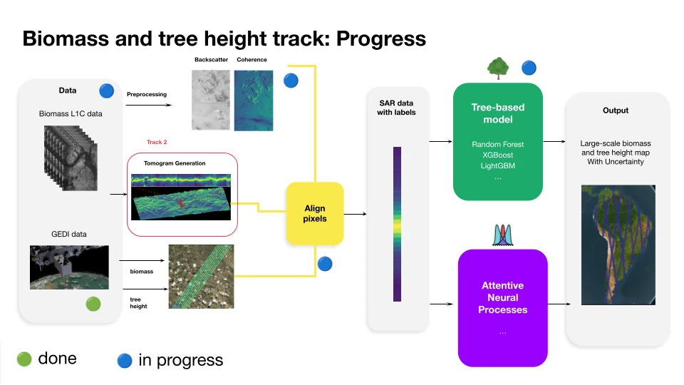 Living Forest data pipeline from ESA Biomass Mission observations to model training