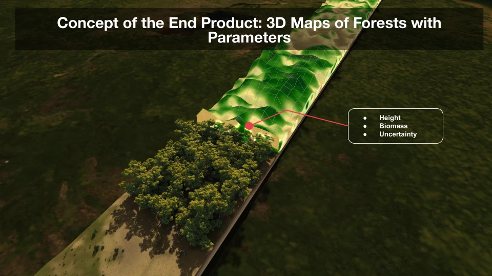 Diagram showing forest biomass parameters learned by the Living Forest foundation model