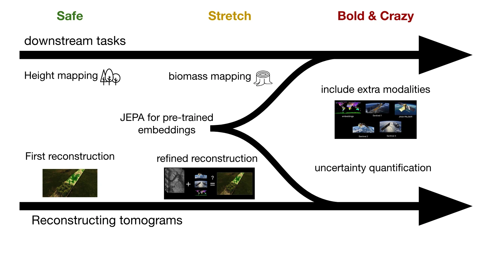 Safe, stretch and bold development goals for the Living Forest JEPA model
