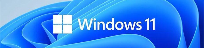 Windows 11