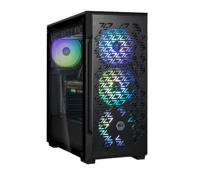 3XS System