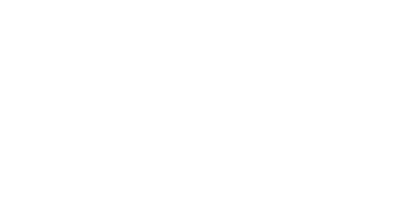 nightsky logo