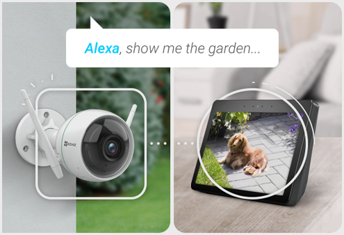 ezviz and amazon alexa