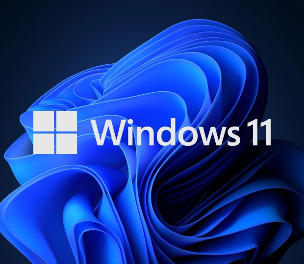windows 11
