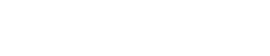 nv Logo